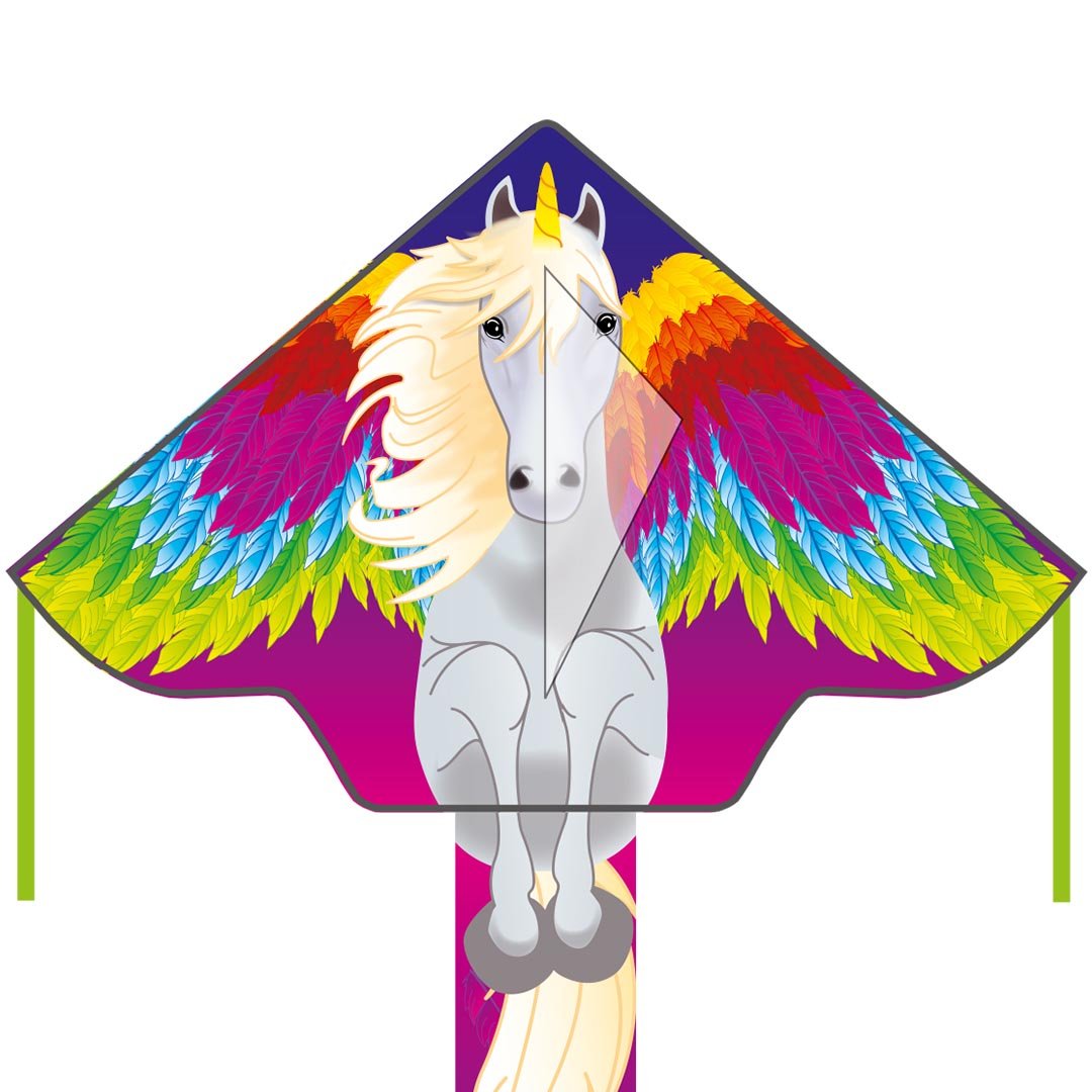 Simple Flyer Pegasus - Kids Kites, age 5+