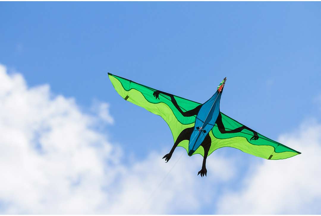 Flying Dinosaur 3D