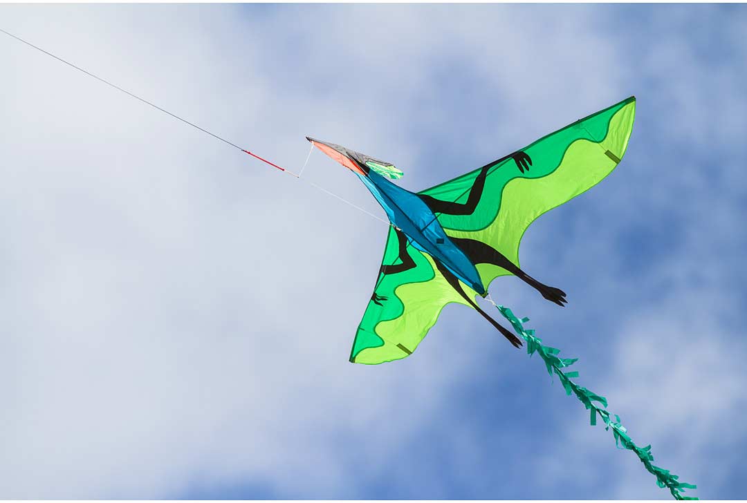 Flying Dinosaur 3D