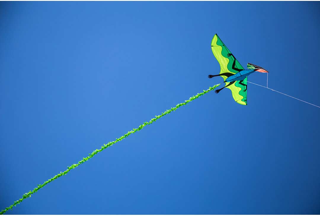Flying Dinosaur 3D