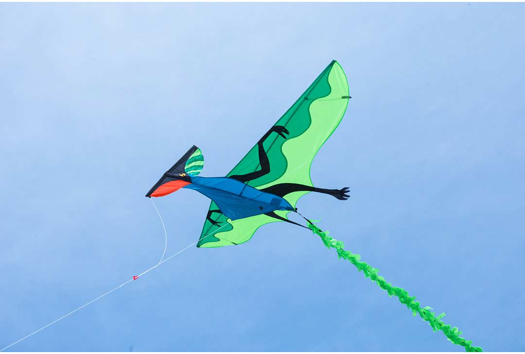 Flying Dinosaur 3D