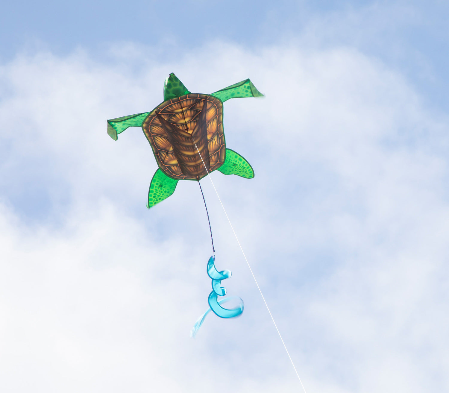 Realistic Sea Turtle Kite