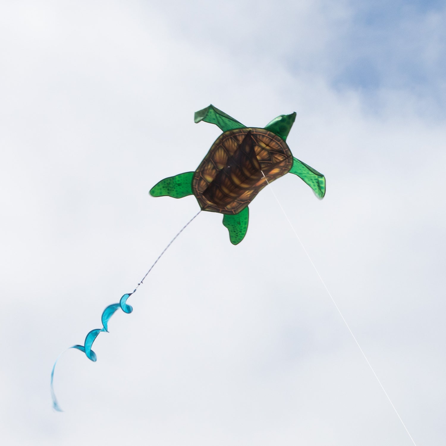 Realistic Sea Turtle Kite